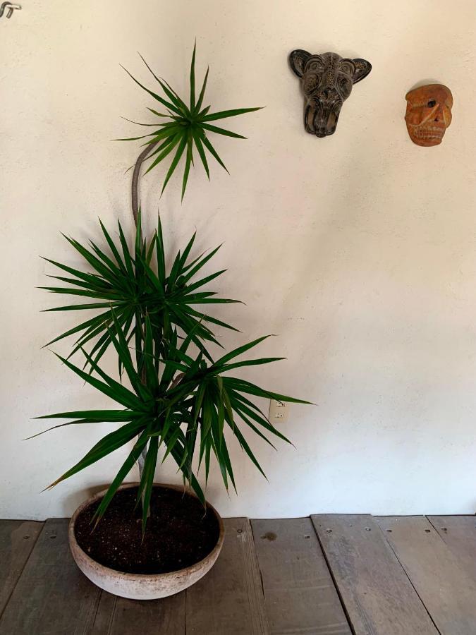 Lo Nuestro Petit Hotel ตูลุม ภายนอก รูปภาพ